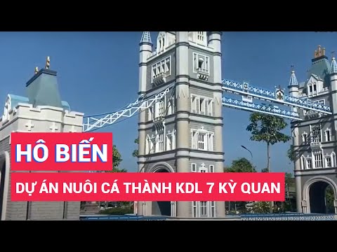 Video 'Hô biến' dự án nuôi cá rô phi thành khu du lịch sinh... - youtube