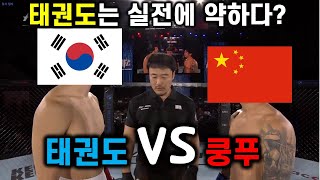 한국 태권도마스터와 중국 쿵푸마스터의 대결