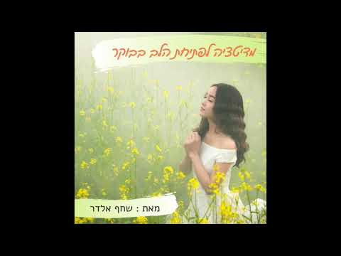 וִידֵאוֹ: שחף ומפתח מפתח