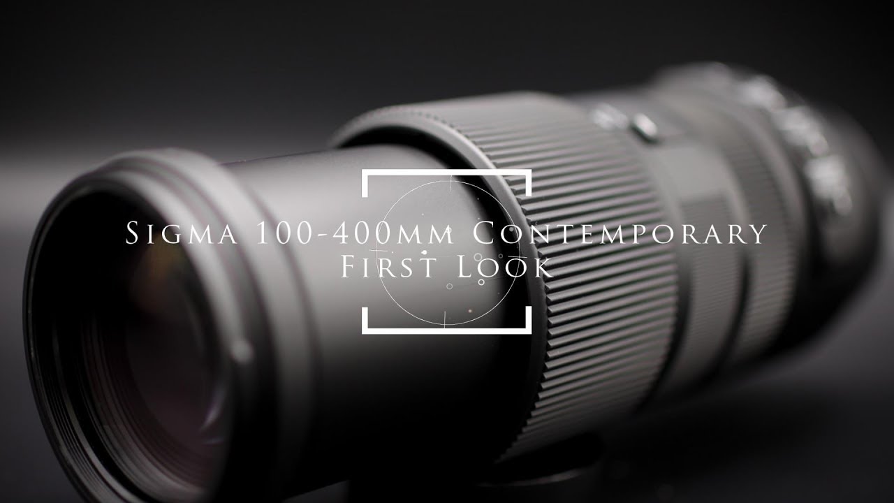 Sigma 100-400mm f/5-6.3 Contemporary Review - DustinAbbott.net
