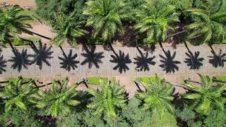 The Road to Naples, Florida