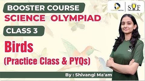 Science Olympiad Class 3 | Birds | SOF NSO 2024| Previous Year Questions