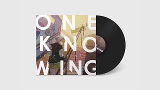 Lena Raine - Light Rail
