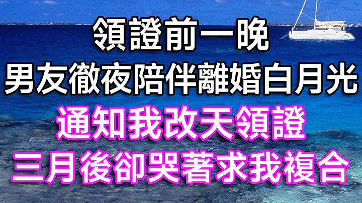 領證前一晚，男友徹夜陪伴離婚白月光，通知我改天領證，三月後卻哭著求我復合！| #故事 #一口氣看完 #結婚 #離婚 #婚姻 #出軌 #白月光 #小三 #婆媳 #婆媳矛盾 #情感故事 #家庭倫理 - 天天要聞