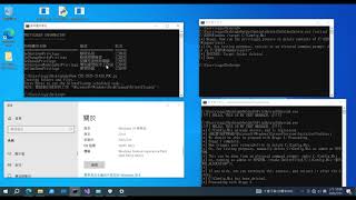 CVE-2025-21420-Windows Disk Cleanup Tool Privilege escalation