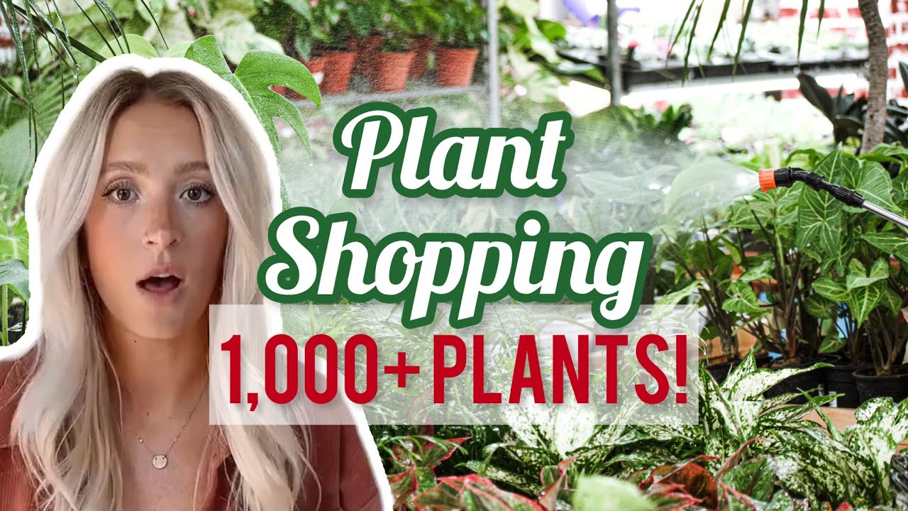 I FOUND IT The BEST Plant Store EVER Come Shopping With Me YouTube i-found-it-the-best-plant-store-ever-come-shopping-with-me-youtube