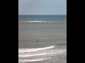 Surf en Honu Beach - Surfcam en vivo en Mar del Plata, Argentina