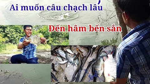Câu cá chạch lấu suối đầu mùa mưa trúng bầy cá chạch siêu to @caudaotv7173