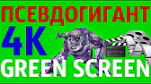Творческое Объединение "СВОБОДА" (ТОС)