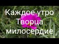 Каждое утро / христианская песня