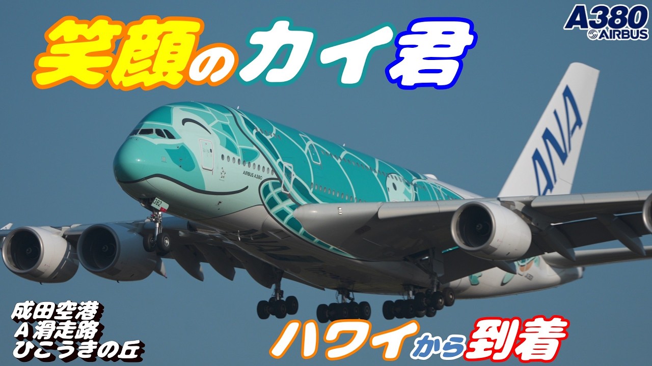 4K】成田空港 ひこうきの丘 ANA超巨大旅客機エアバスA380 笑顔でハワイ