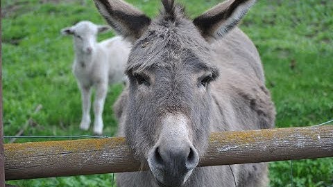 And this is... - Zombie Panic Source Clips 131