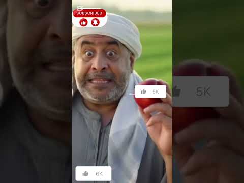 لحمار الأسرع في العالم مش هتصدق اللي حصل ضحك ضحك ترند Shorts Shortsvideo اكسبلور Youtubeshorts