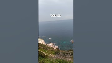 آيات عن البحر 🫀😌