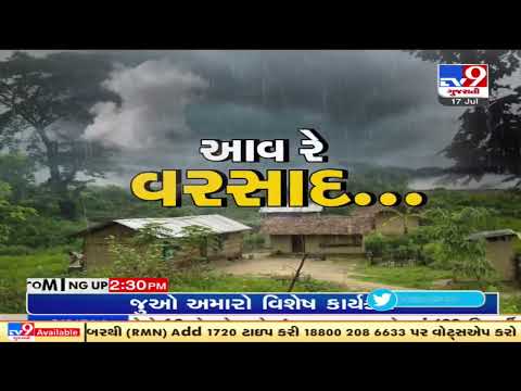 Farmers rejoice after heavy rainfall in Mangrol, Junagadh | TV9News