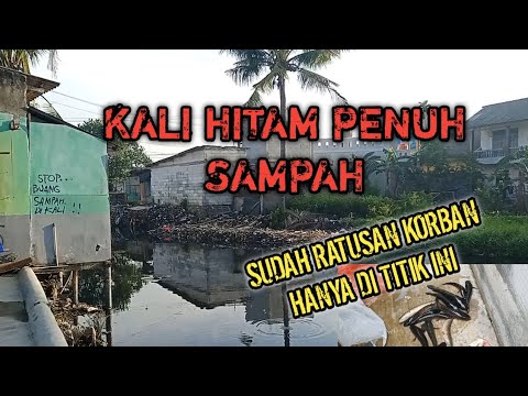 Ikan Disini Gak Ada Habis Nya Casting Gabus Kocolan Youtube