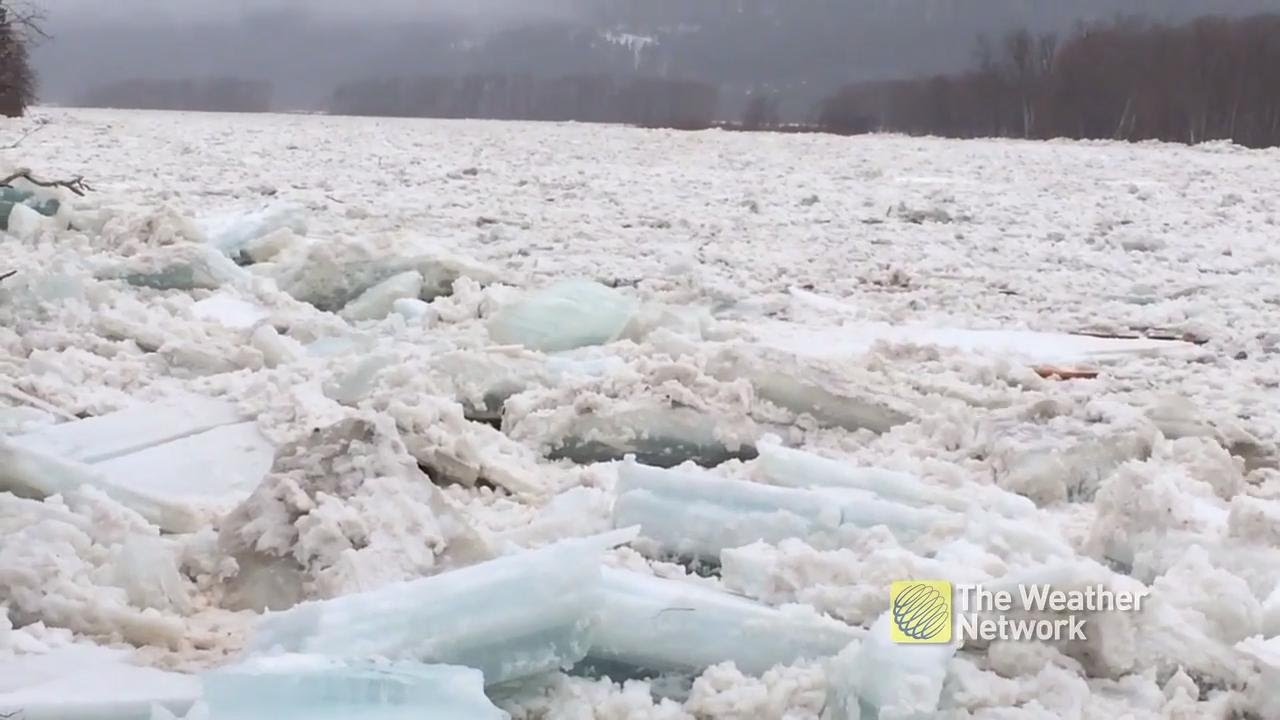 cold brew coffee You won't believe how fast the ice is flowing down this river