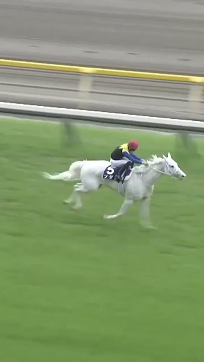 How good was SODASHI in winning the G1 Victoria Mile last year? 🦄 #KyDerby