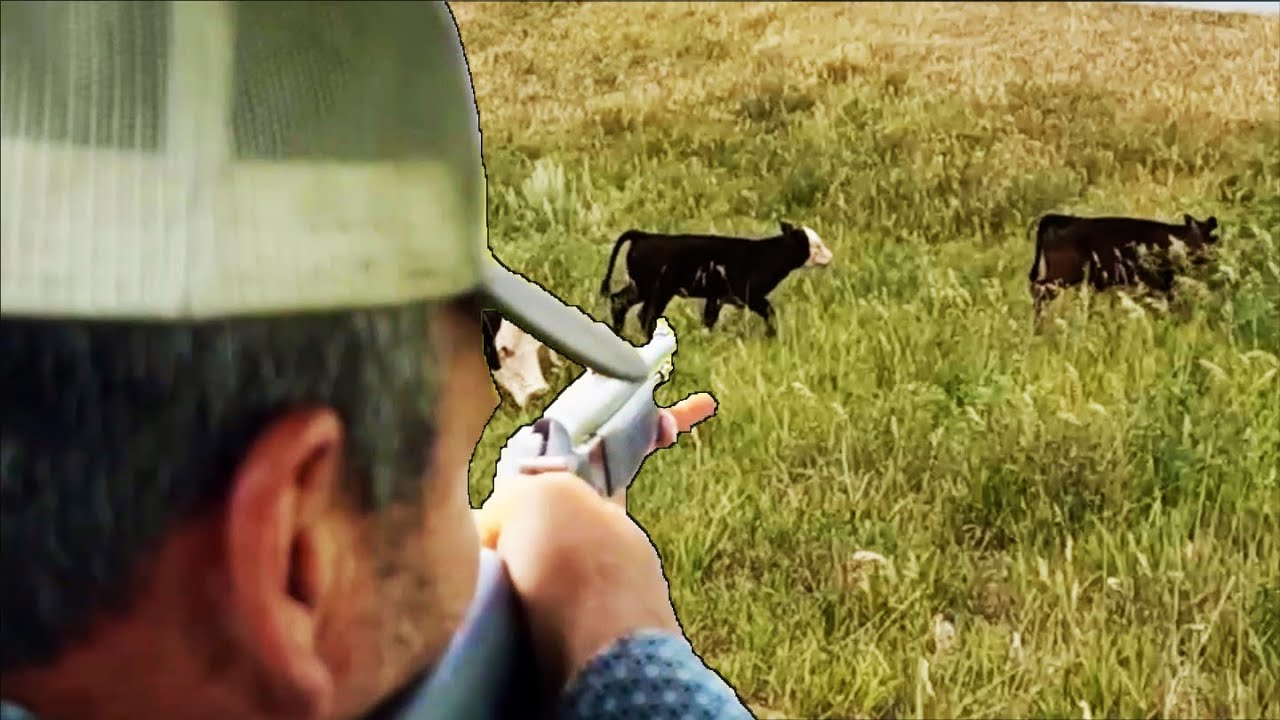 It Had To Be Done...