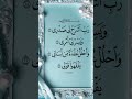 Dua from Holy Quran -✨ Nazim#quranrecitation #quran #tilawat #islam #usaquran #merataiba