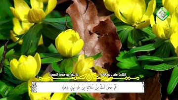 مقطع رائع من سورة السجدة | القارئ عقيل عبدالرضا