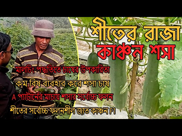 Hardkor guruhi anal jinsiy aloqa koz yoshlari qichqiradi Sadriddin Nachmiddinning yalangoch suratlari