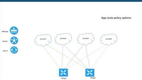 Viptela (Cisco SDWAN) App route policy options