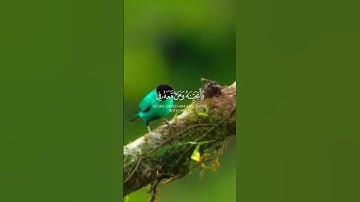 "فَأَنجَيْنَاهُ وَمَنْ مَعَهُ فِي الْفُلْكِ الْمَشْحُونِ"تلاوة خاشعة ومؤثرة من سورة الشعراء #المصحف