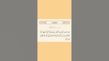 القرآن الكريم #القرآن الكريم #راحة نفسية #اطمئن