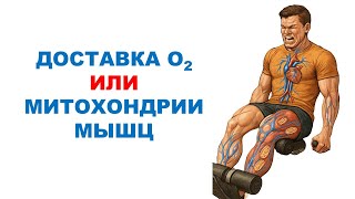 видео: Ограничения нетренированных и тренированных людей / Обзор научного эксперимента картинка: Ограничения нетренированных и тренированных людей / Обзор научного эксперимента