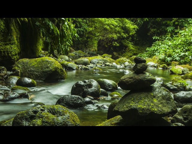 Relaxing music - meditation-sleep-stress relief music #stressrelief #mediation #naturevideo #healing class=