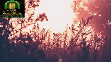 القارىء هيثم الدخين في|  سورة لقمان | 🌹🌷