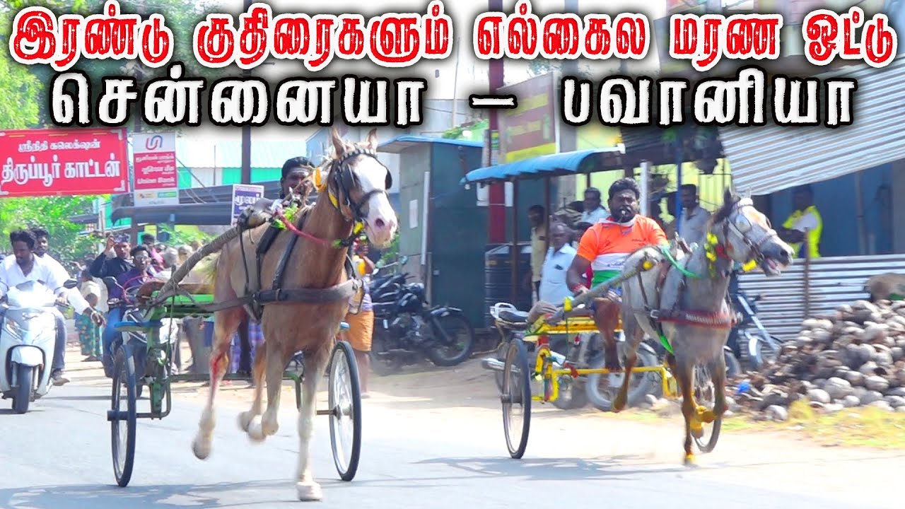 நாமகிரிப்பேட்டை புதுக்குதிரை 2