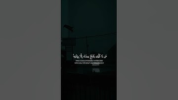 قران الكريم عبدالرحمن مسعد ايه الكرسي #quran #fyp