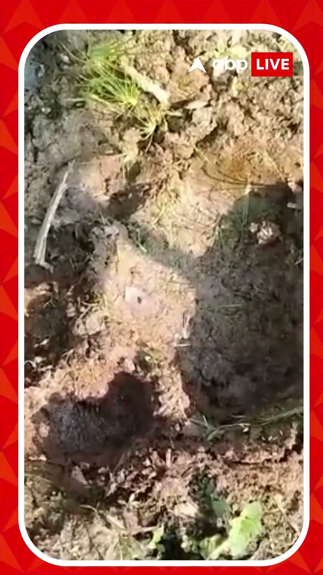 ফের বাঘের আতঙ্ক, বারো মাইল জঙ্গলের ভিতর সুতানের রাস্তায় স্থানীয় বাসিন্দাকে আক্রমণ বাঘের