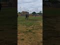 Great Rebound Catch Kickball #fun #kickball #sports #tiktok #games #shortvideo #nfl #cats
