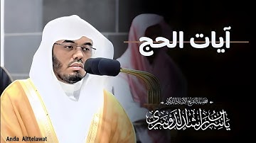 "الحج أشهر معلومات" | آيات الحج | لفضيلة الشيخ أ.د. #ياسر_الدوسري | #سورة_البقرة