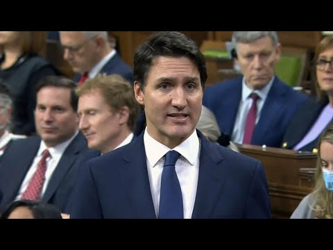 Trudeau accuses Conservatives of being ‘deep in the pockets’ on the gun lobby