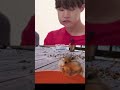 Jhope Cute Eating Moment