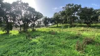 Terreno Com  3363 M  Para Construo De Duas Moradias Trreas Ou At Moradias Com 2 Andares