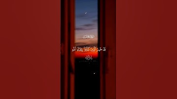 تلاوة تريح القلب… ارح قلبك 😴♡| #قرآن #تلاوة_خاشعة #سعد_الغامدي #راحة_نفسية #تابعوني #اكسبلور #لايك