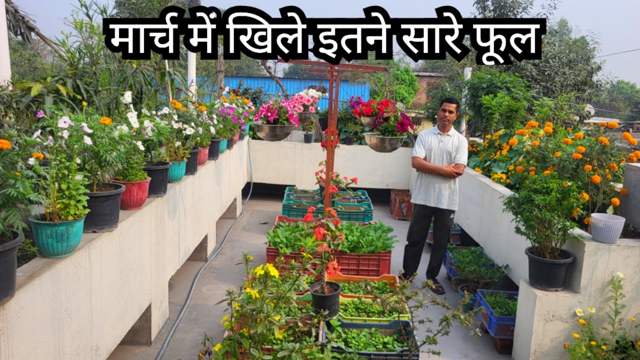 Flower Garden Overview and Care in March