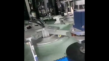 O-ring seals visual sorting system #visualinspection#visualdetection #opticalsorting #machinevision