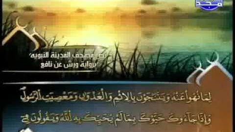 العيون الكوشي - سورة المجادلة