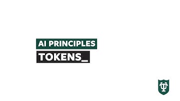 Core AI Principles 3: Processing Information via Tokens | Applied AI Literacy [2025]