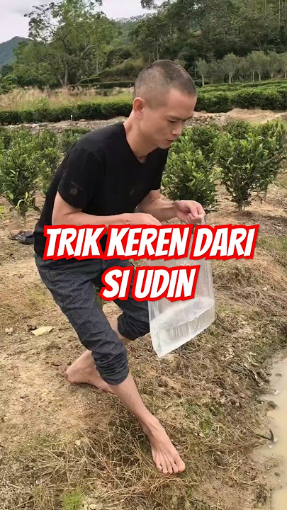 COOL TRICKS FROM UDIN | Reaction video #reaction #reactionvideo #comedy #funnyvideo #shortvideo