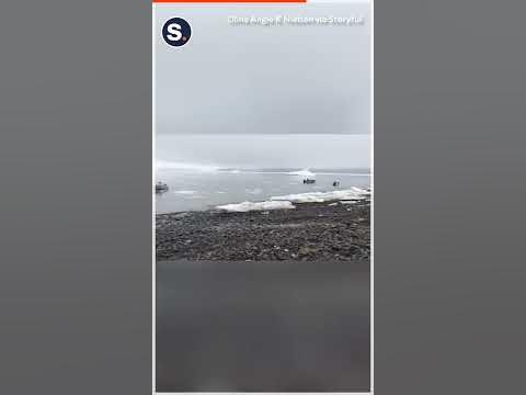 Video captures tsunami hit street