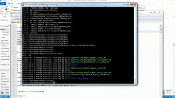 OEM 12c Automation:  Auto fix 