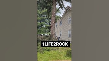Trimming the telephone poles (Pine) 1LIFE2ROCK Rock on everyone