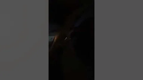 just have fun talking stuff
